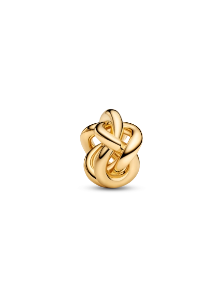 Infinity Knot Charm ⭐️