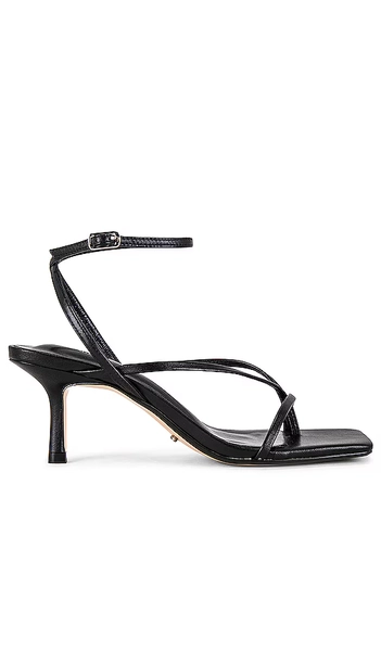 Avi Sandal