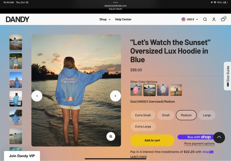 Dandy let’s watch the sunset hoodie 