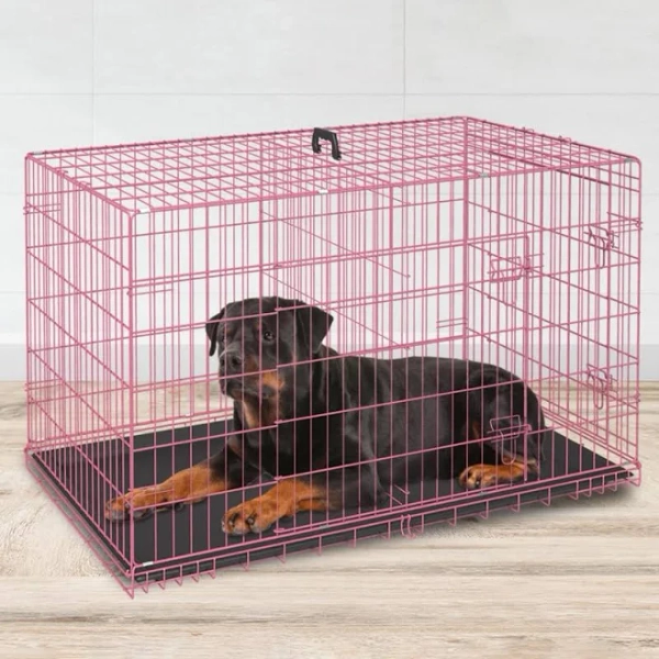 Williston Forge 48 Inch Folding Metal WirePet Cage with Double Door