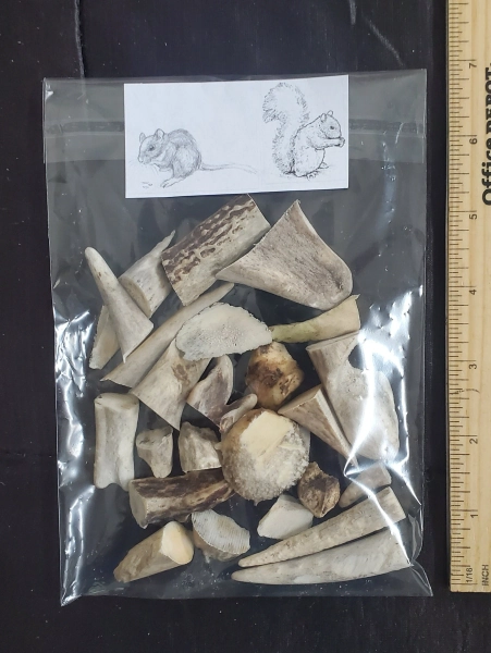 Mineral Chews (Gerbil, Hamsters, Squirrels, Mice, Rats, Rabbits, guinea pigs)