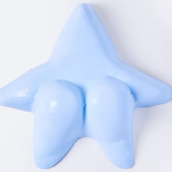 TABASQUISHY Blue Starfish Squishy Toy