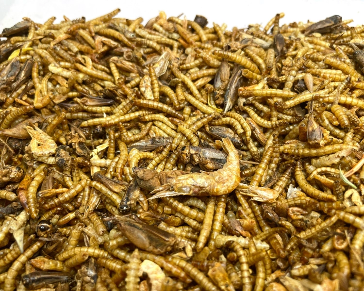 Animal Protein Mix