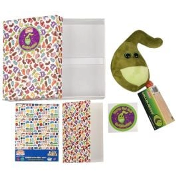 ************Gallbladder gift box