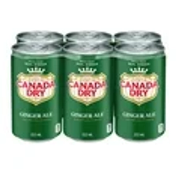 Canada Dry® Ginger Ale 222 mL Mini-Cans, 6 Pack, 6 x 222 mL