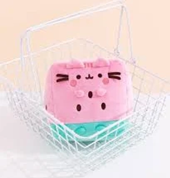 Pusheen Watermelon Stuffed Plush