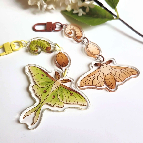 Luna Moth Silk Moth Life Cycle Acrylic Dangle Charms