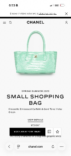Small Shopping Bag