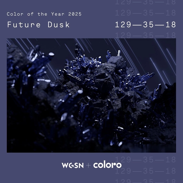 Introducing Future Dusk: The Color Of The Year For 2025