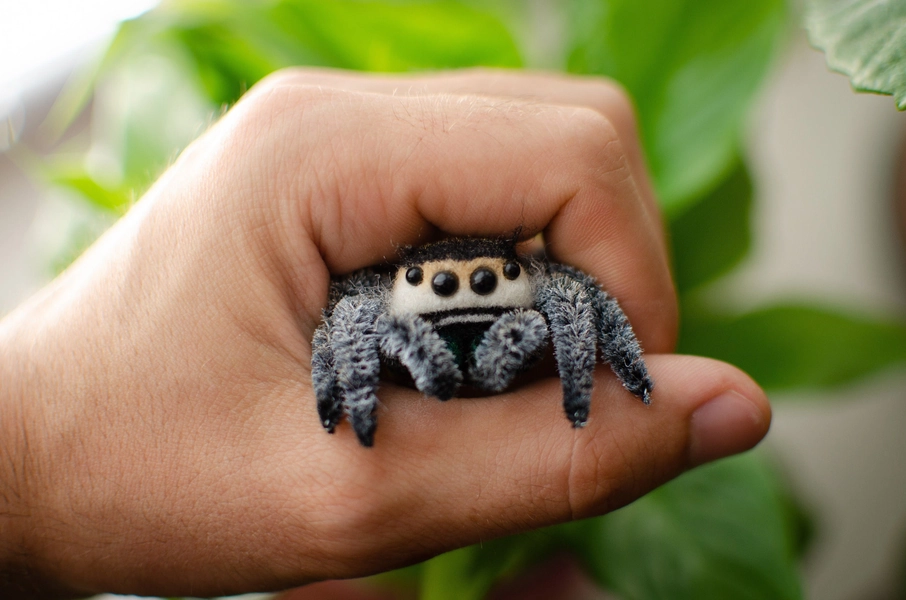 Needle Felted Jumping Spider Sculpture, Poseable Arachnid Toy