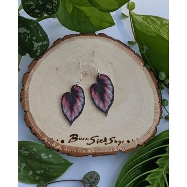 Rex Begonia Red Botanical Houseplant Leaf Earrings