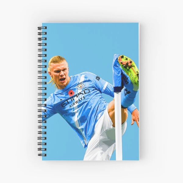 Erling Haaland Journal