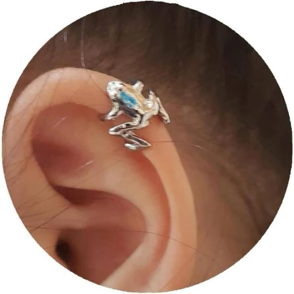 Retro Frog Stud Earrings
