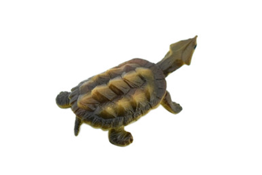 Alligator Snapping Turtle,  Matamata Turtle, Rubber Reptile, Hand Painted, Educational, Realistic Toy Figure, Diorama Model, Kids, Gift,     2 Inches.  CH414 BB108