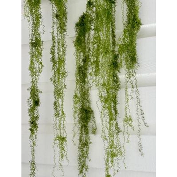 Realistic Moss | Long Strand Design for Trailing Hanging Moss Effect | Ships from USA