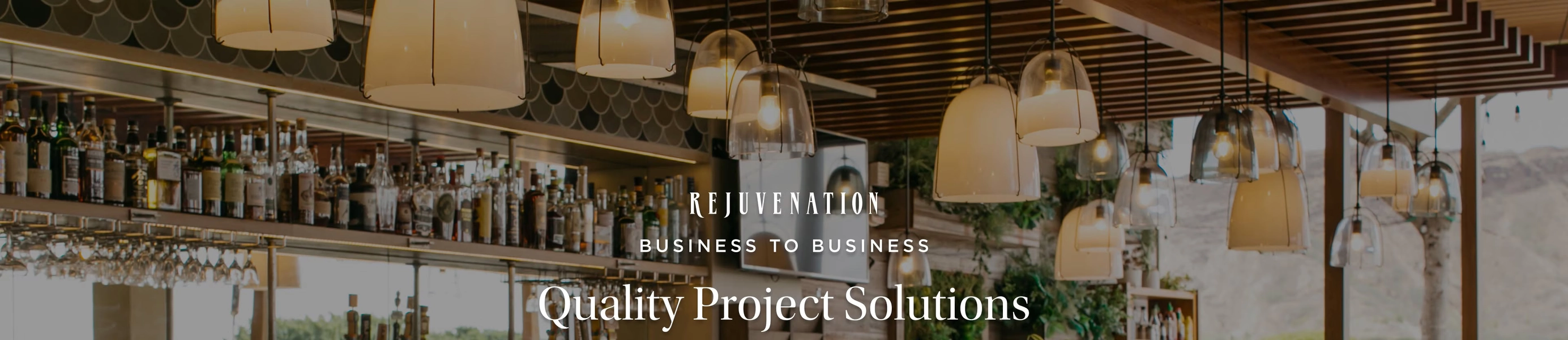 Rejuvenation Business to Business Solutions 