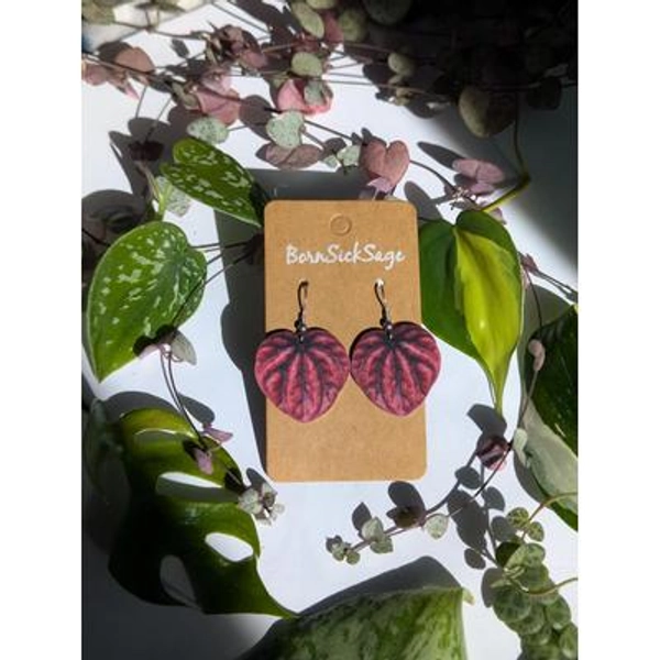 Red Peperomia Caperata Botanical Houseplant Leaf Earrings