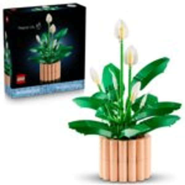 LEGO 11504 Botanicals Skrzydłokwiat