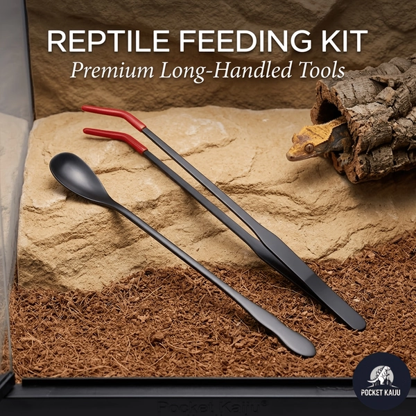 Feeding tools