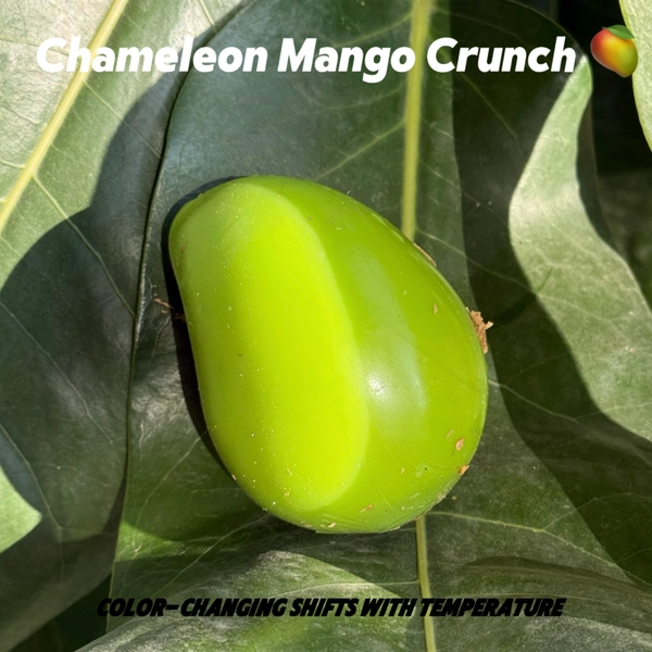 Chameleon Mango Crunch
