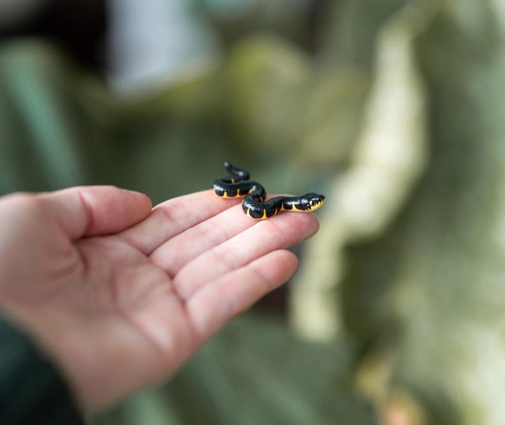 Mini Mangrove Snake - Polymer clay sculpture, mini snake sculpture, polymer clay charm, tiny mangrove snake model