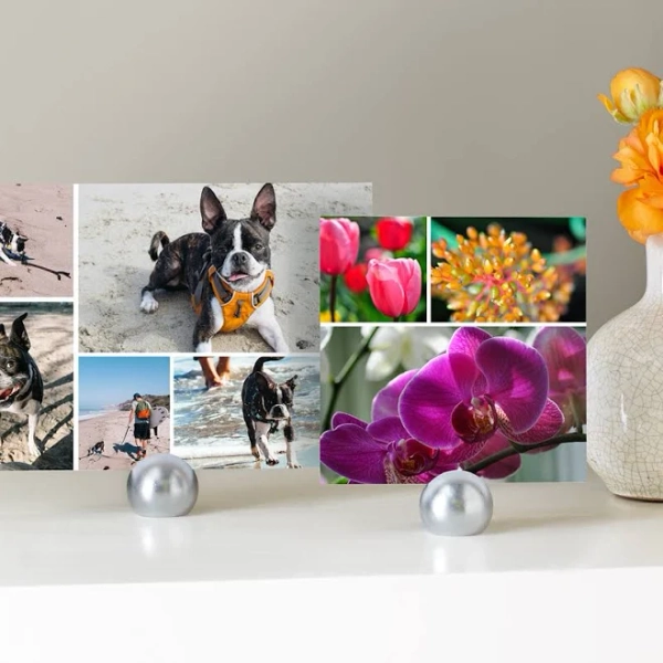 Collage Photo Prints: 4x6, Matte, by Snapfish