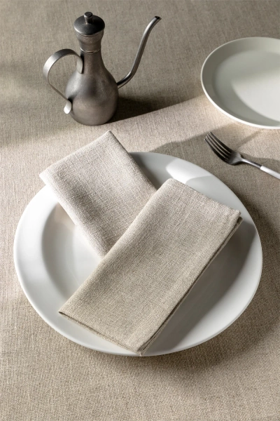 Pack de 2 serviettes en lin et coton Ederne
