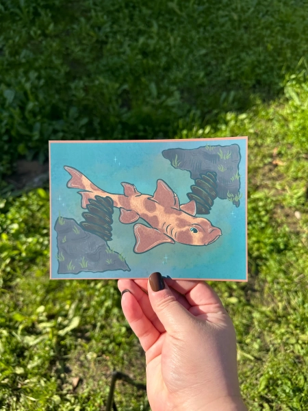 Horn Shark Postcard Matte Finish (5x7)