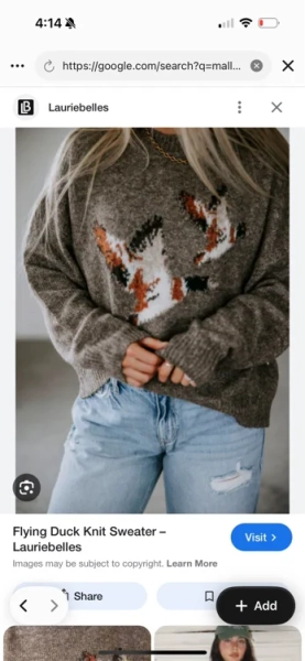 Flying duck sweater 