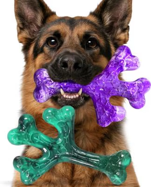 KSEROO Aggressive Chewers Beef Flavor Nylon Tough Chew Dog Toy, Green & Purple, 2 count - Chewy.com