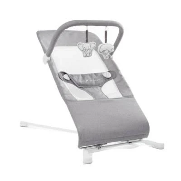Baby Delight Highland Bouncer