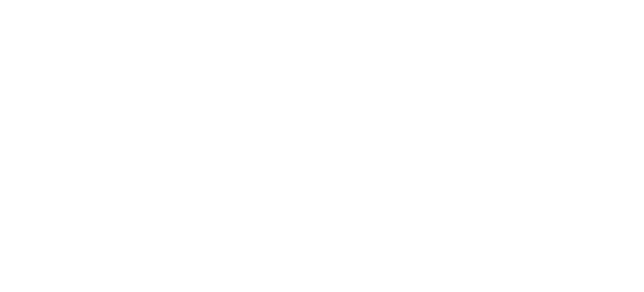 Zootopia Crocs