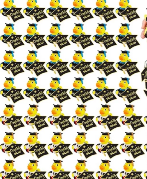 Amazon.com: Sratte 24 Set Rubber Ducks 2026 Diploma Bulk with Party Cards Grad Rubber Duck Cute Car Duck for Bathtub Swimming Pool Theme Party : Toys & Games