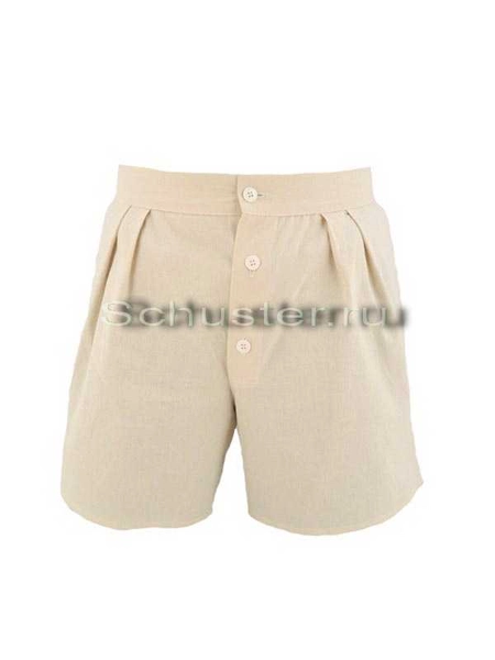 Shorts DAK Underwear