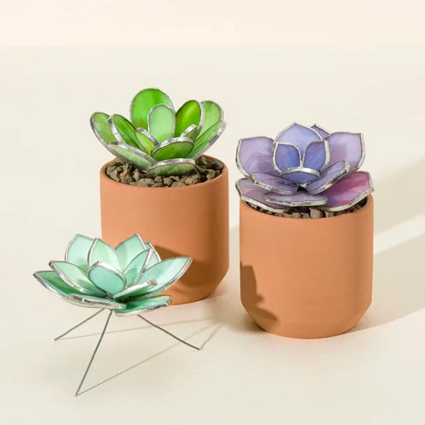 Everlasting Stained Glass Succulents