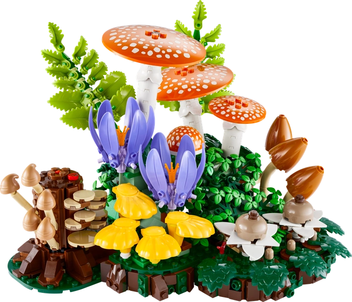 Woodland Mushrooms