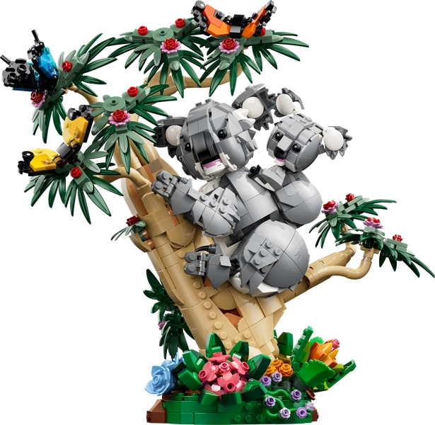 Wild Animals: Family of Koalas
