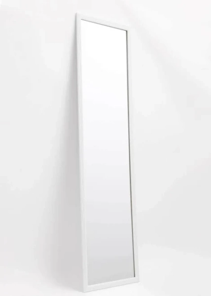 Style Selections Rectangle Framed Full Length Door Mirror