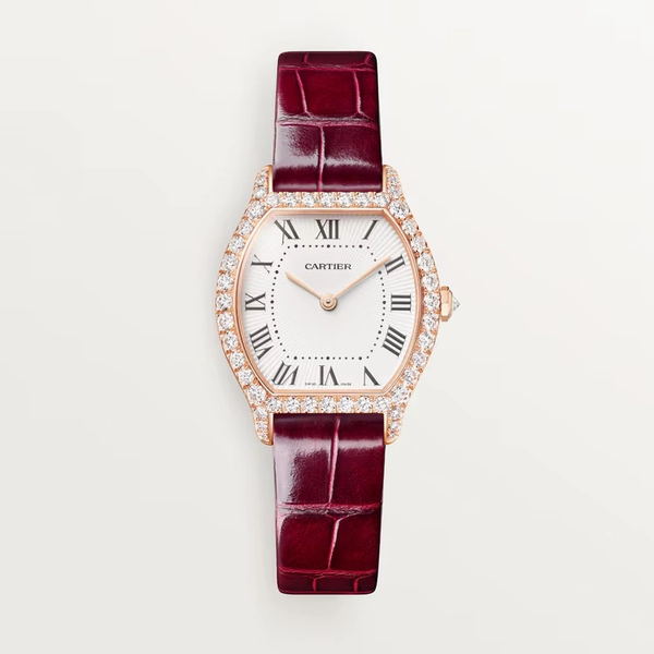 Tortue watch