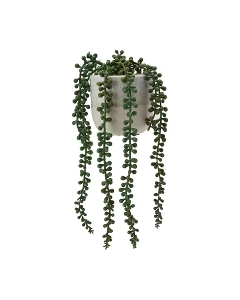 Artificial String of Pearls Plant in Pot - Assorted - One Size