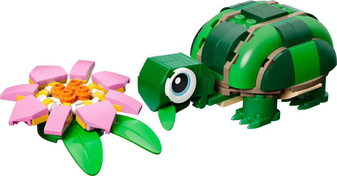 Turtle with a Water Lily Flower