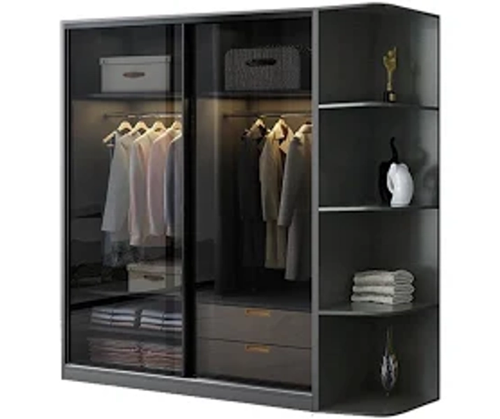 Black Wardrobe for Home Modern Style Cabinet with Glass Doors