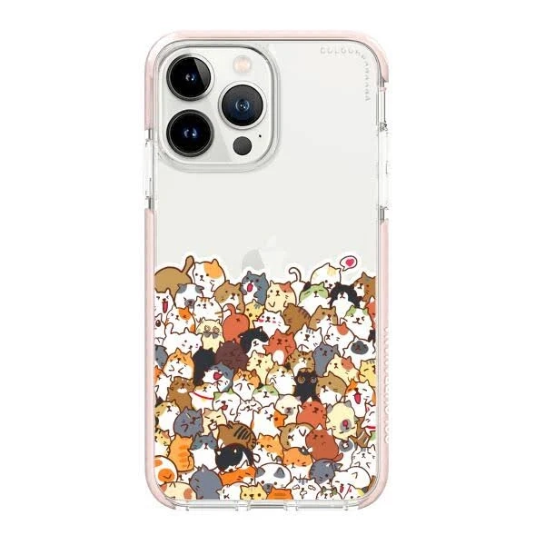 iPhone 13 Pro Case