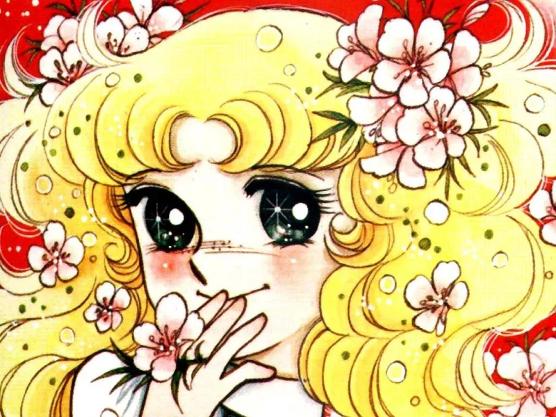 Candy Candy Complete Series DVD English SUB