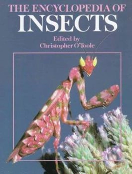 The Encyclopedia of Insects book by Christopher O'Toole