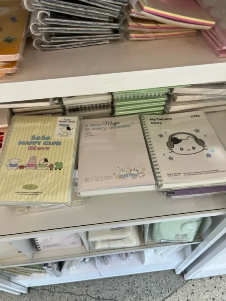 cutesy lil diary 