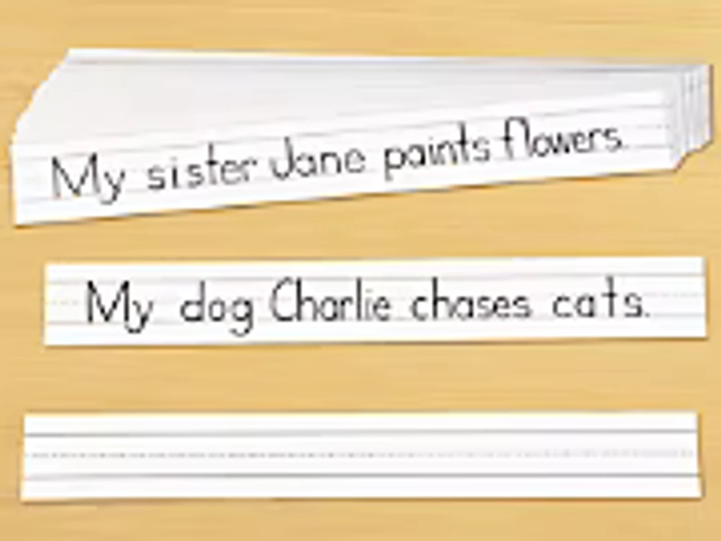 White Sentence Strips