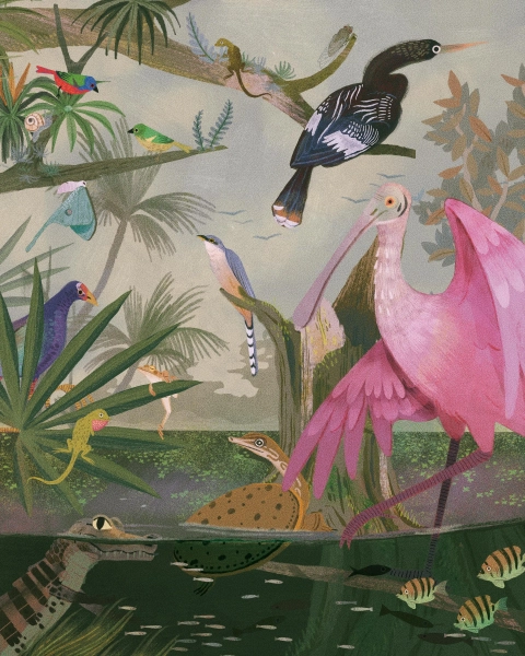 Florida Ecology Print