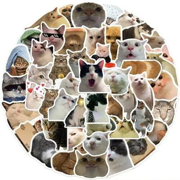AmaMary 100 Pcs Cute Cat Meme Stickers â€“ Funny & Durable Waterproof Vinyl Stickers for Laptops Water Bottles Suitcase and DIY Projectsï¼Œ Teens ï¼ŒAdults or Kids Gift