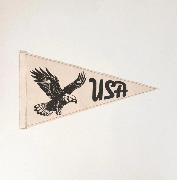 USA Vintage Eagle Pennant